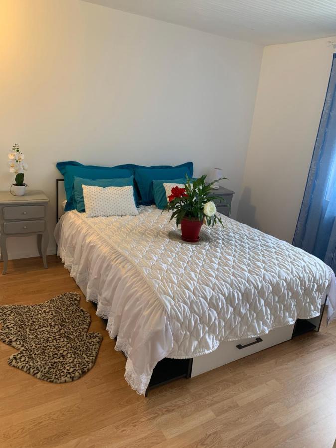 Belle Maison Avec Jardin Rdc T3 De 70M2 Vacances Ou Cure Thermale Rochefort Екстер'єр фото